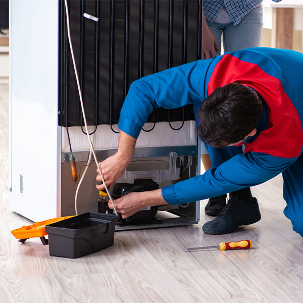 will the repair service cause any damage to my refrigerator in Ely Minnesota